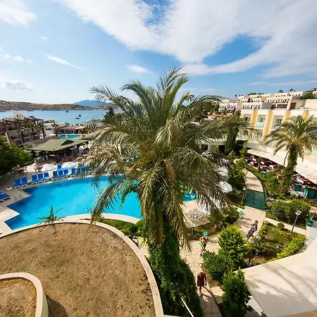 Royal Palm Area Hotel