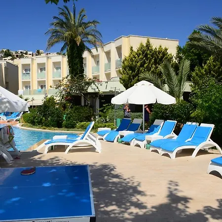 Royal Palm Area Hotel