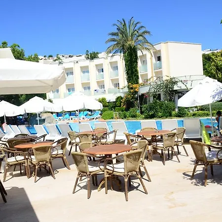 Θέρετρο Royal Palm Area 4*