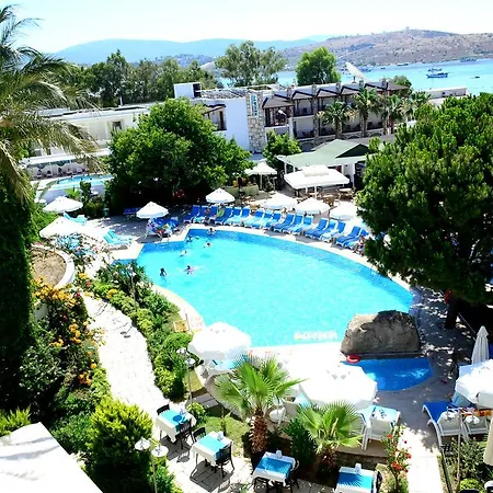 Royal Palm Area Hotel