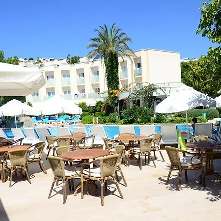 Θέρετρο Royal Palm Area 4*