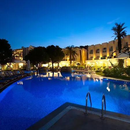 Hotel Royal Palm Area