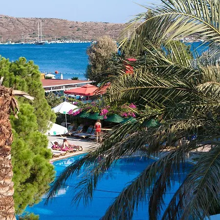 Hotel Royal Palm Area