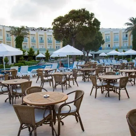 Royal Palm Area 4*