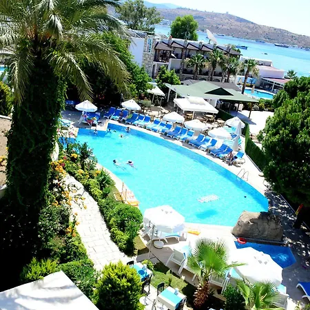 Royal Palm Area 4*