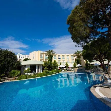 Royal Palm Area Gümbet