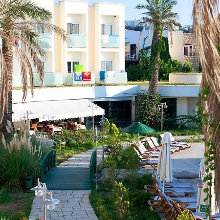Royal Palm Area 4*